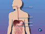 An upper GI endoscopy is a diagnostic procedure used by your doctor to inspect the inside of your throat, esophagus, stomach and upper intestine.